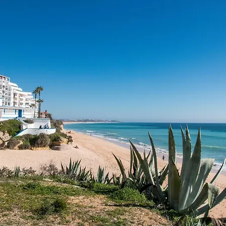 Beachside Bliss - 150 Meters From The *