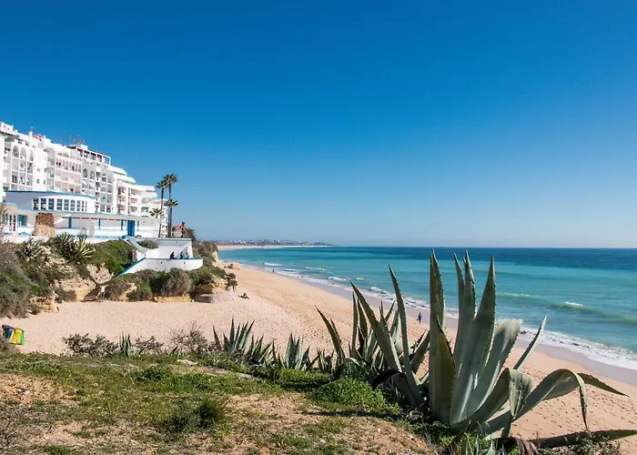 Beachside Bliss - 150 Meters From The *